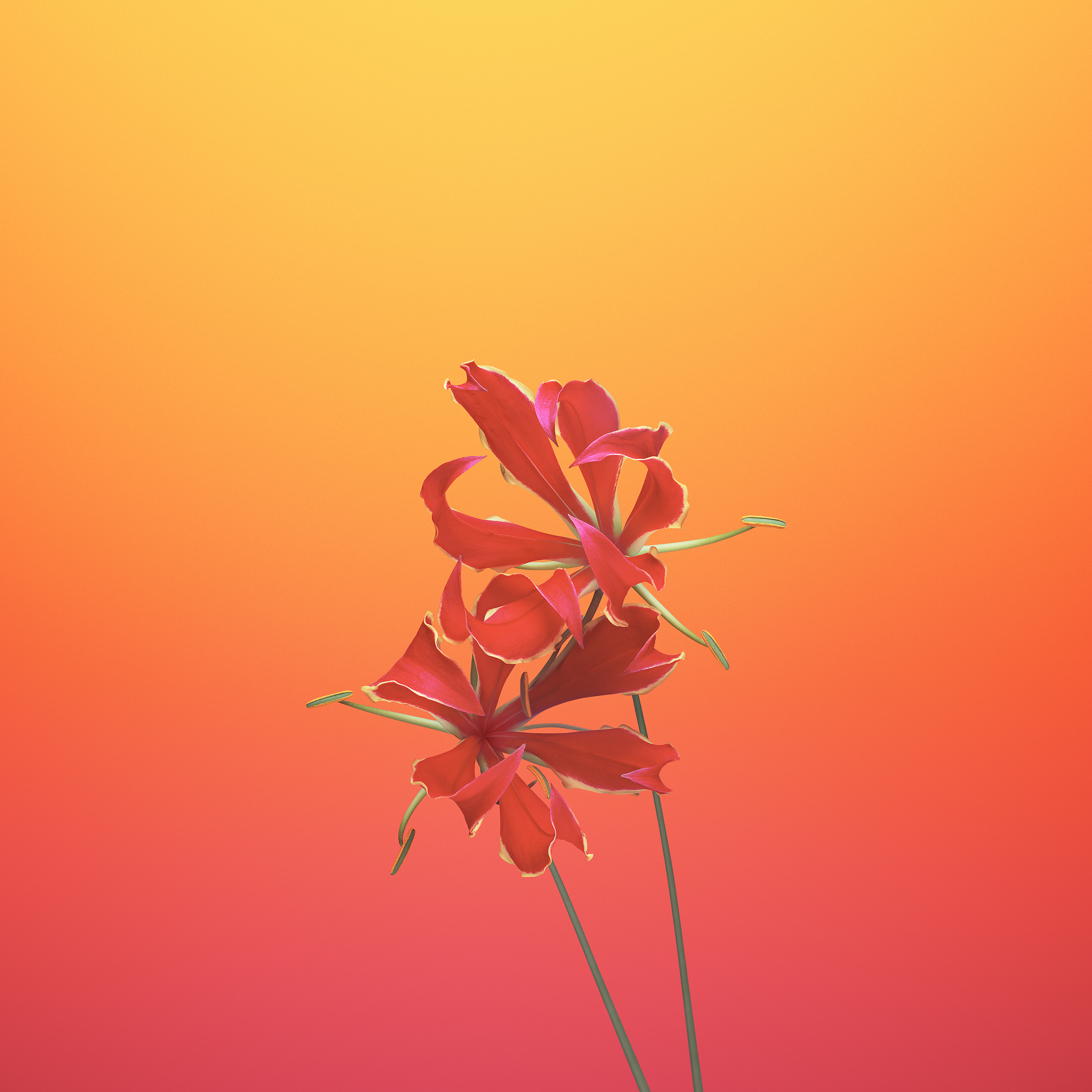 Flower_GLORIOSA.jpg