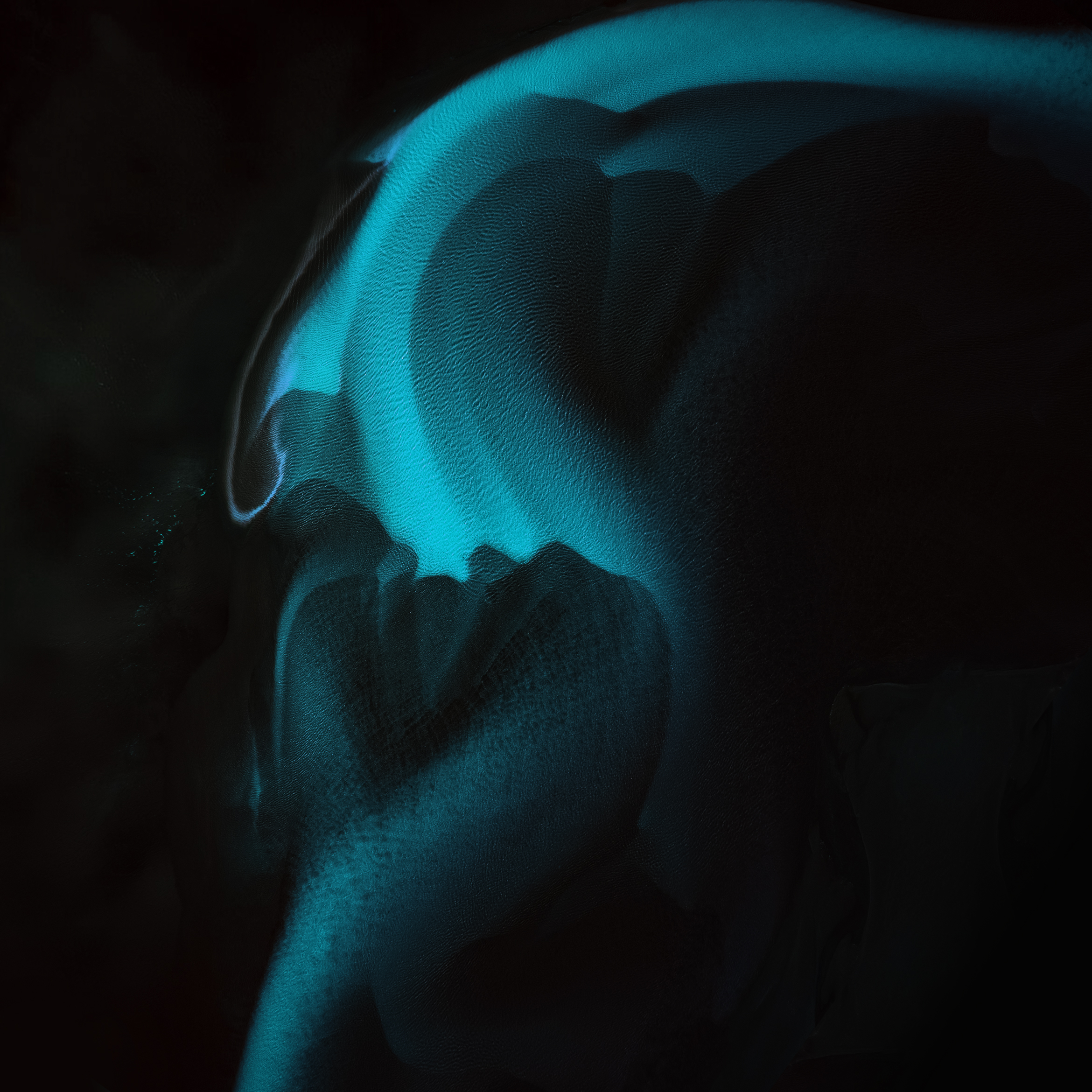 RiverVeins1.jpg