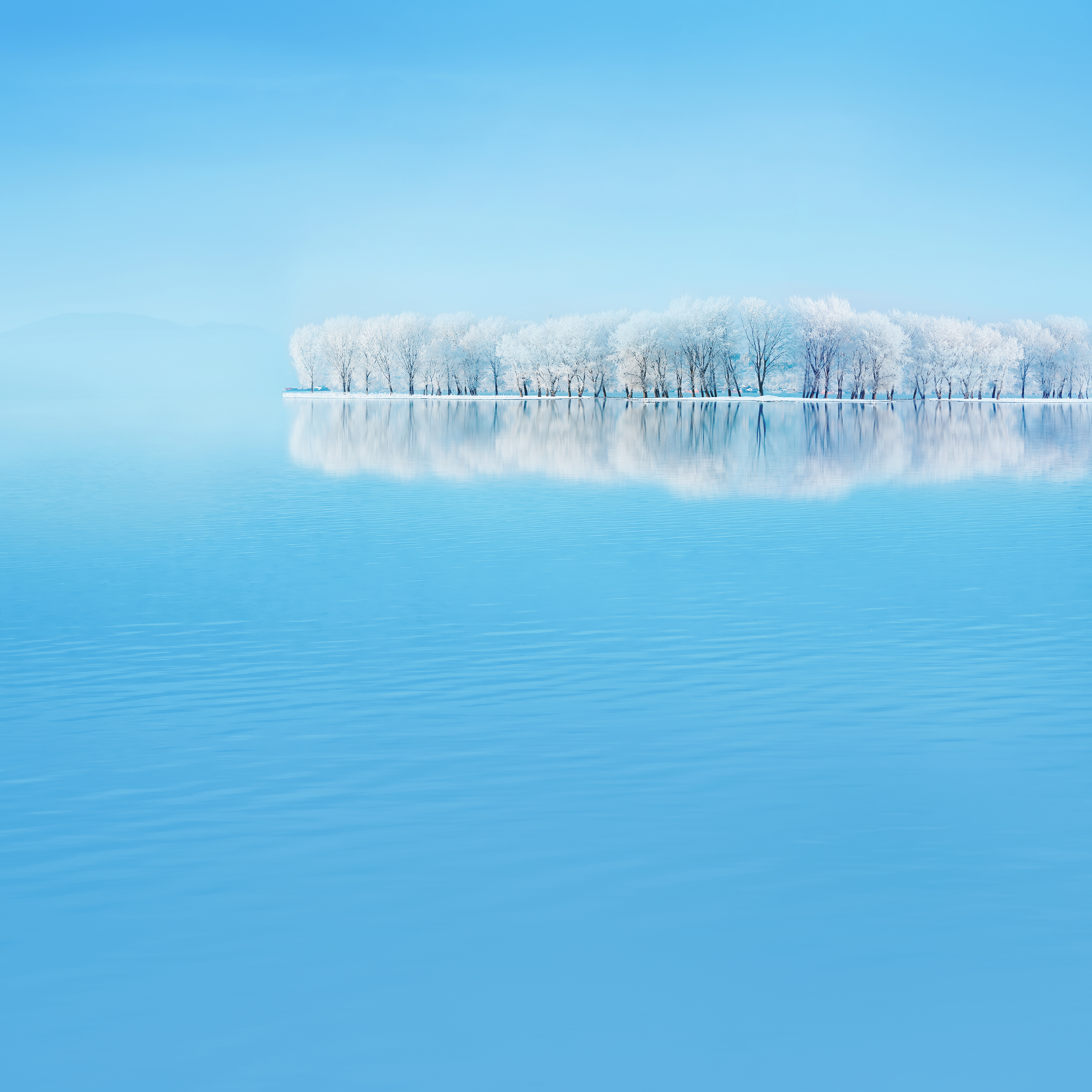 Skyline.jpg