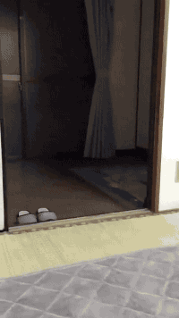 5eef6257gw1f6ajqndwogg205k09wu0x.gif