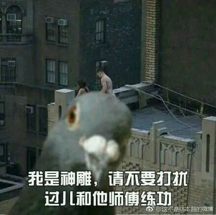 v2-7dd20f354552cdcd304220c8c0290356_hd.jpg