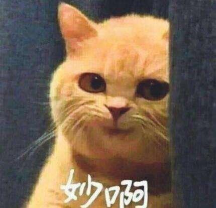 QQ图片20190828174655.jpg