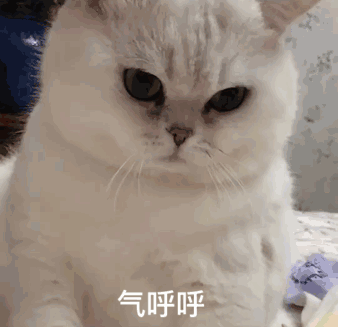 5e2a308e57b04f2cf71226e393a78bae.gif