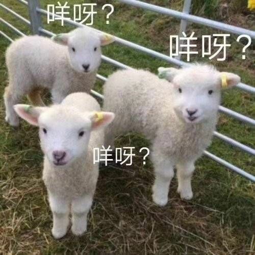 QQ图片20191020153832.jpg