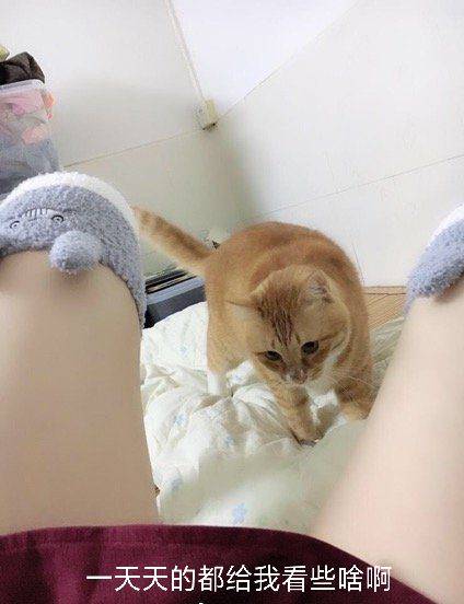 微信图片_20191116200033.jpg