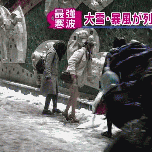 006XP6kPly1gaognqh3q7g30dw0dw1kz.gif