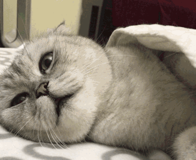 QQ图片20200109165717.gif