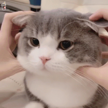 QQ图片20200112210651.gif