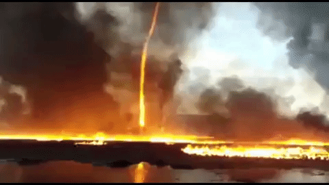9a6d5dfb2ea94836b2cf022b33508cde.gif