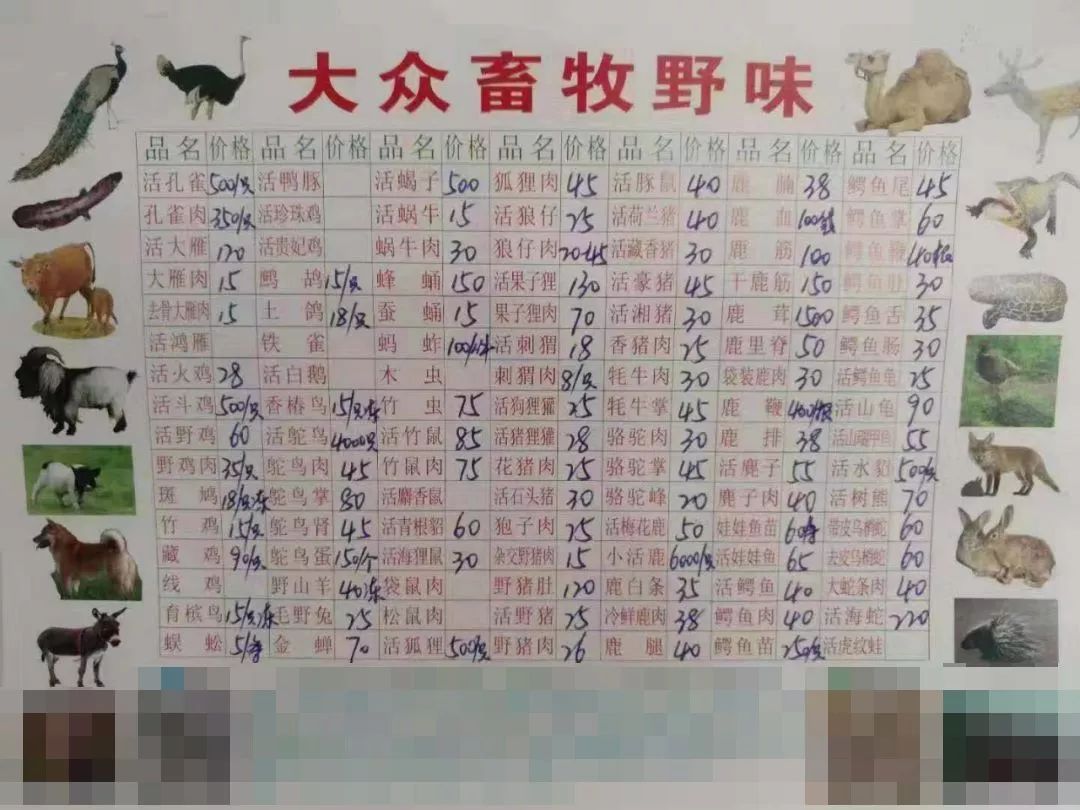 4dced98e2e364459a14aa5504c179bc1.jpeg