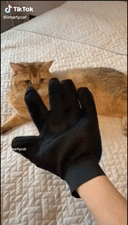 007Ewh1Ily1gc2yhvyy47g305108tkjp.gif