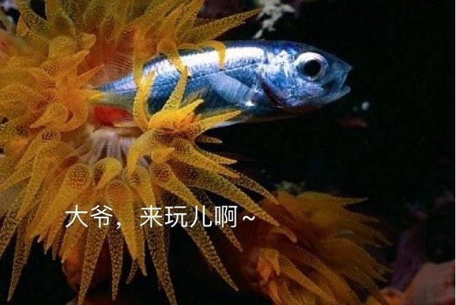 d6ca7bcb0a46f21f3853e568383e09660c33ae43.jpeg