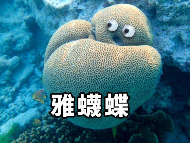 960a304e251f95caa8f4a898070d1d38670952bf.jpeg