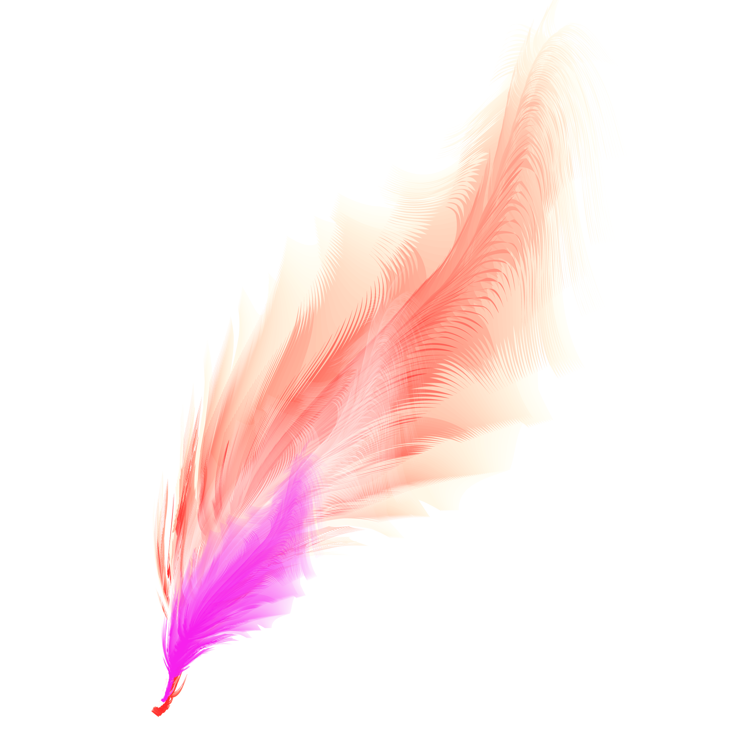 feather.png