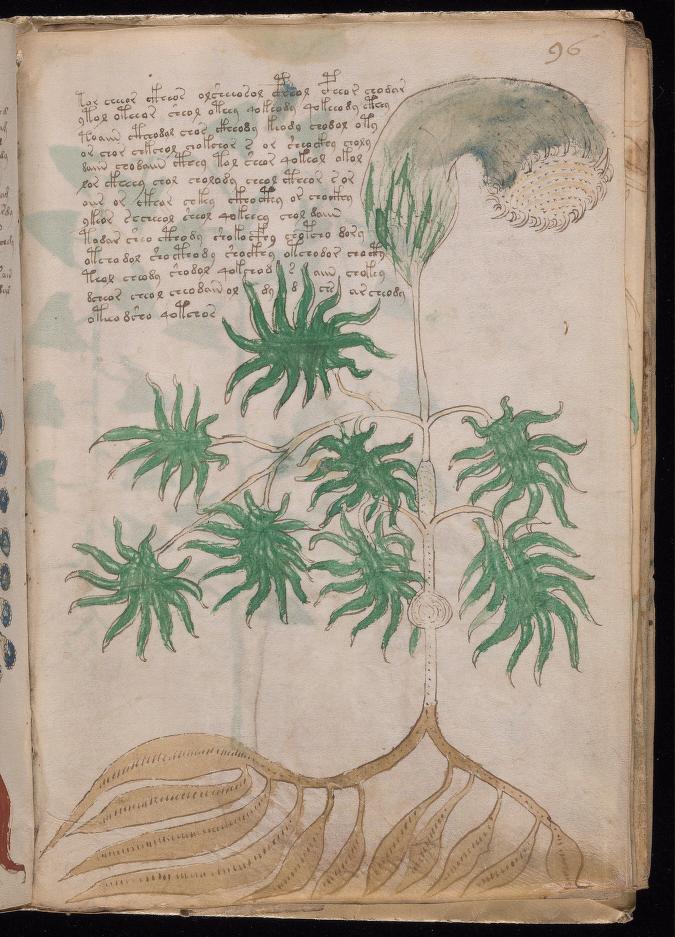 伏尼契手稿.Voynich manuscript.高清.耶鲁大学图书馆藏.约十五世纪_0170.jpg