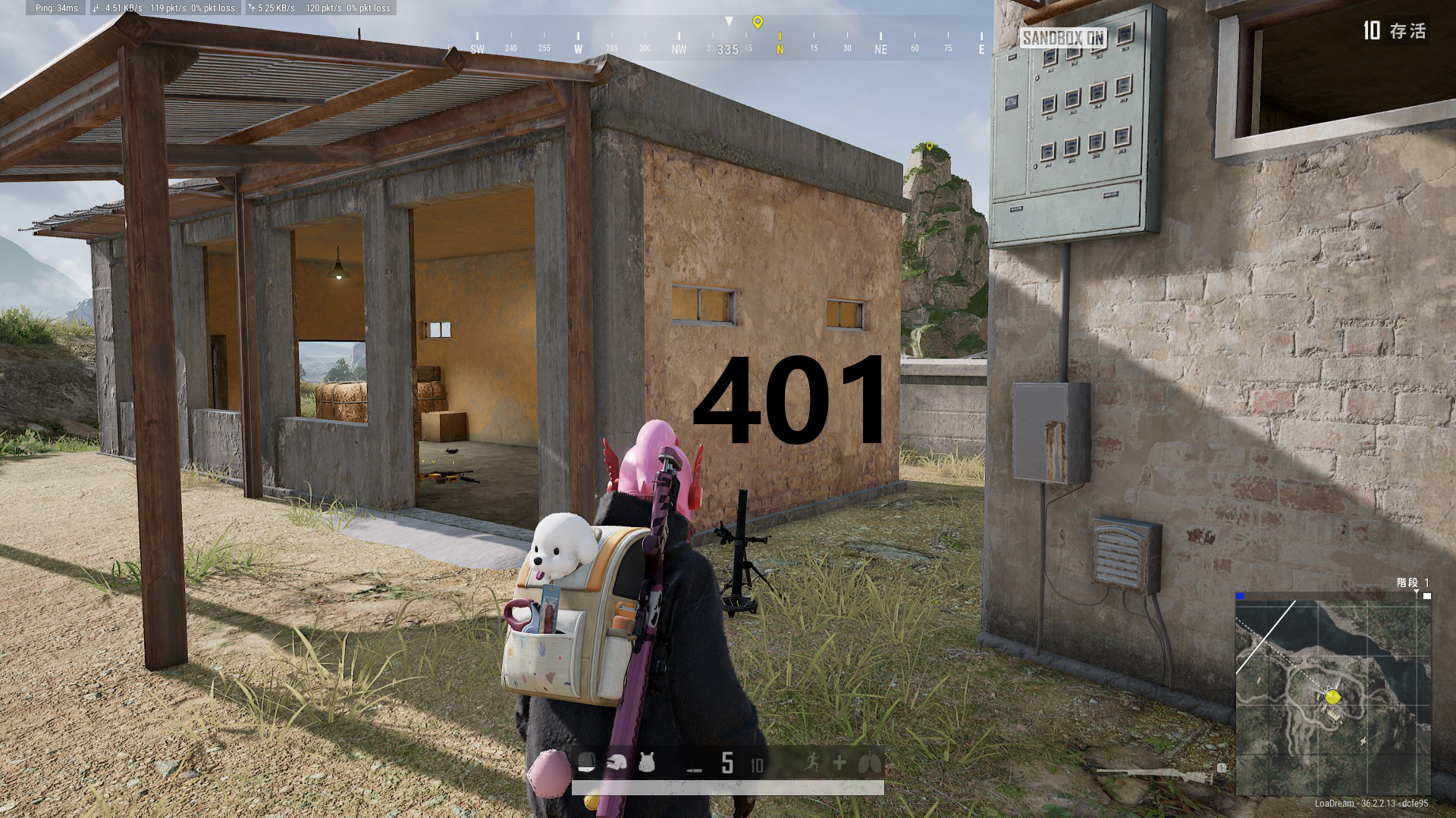 19.jpg